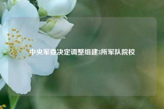 中央军委决定调整组建3所军队院校