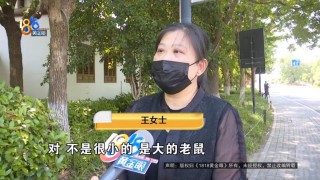 吃完饭一出包厢被大老鼠吓坏了，当事人：退一赔十