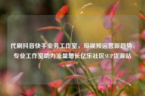 代刷抖音快手业务工作室	，短视频运营新趋势，专业工作室助力流量增长亿乐社区SUP货源站  第1张