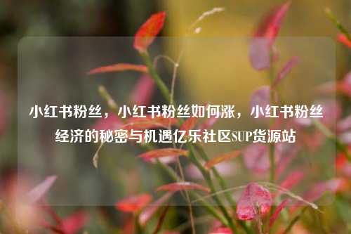 小红书粉丝，小红书粉丝如何涨，小红书粉丝经济的秘密与机遇亿乐社区SUP货源站  第1张