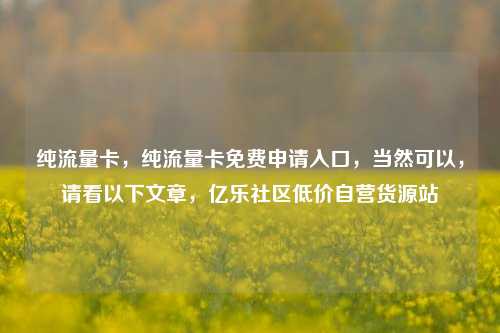 纯流量卡	，纯流量卡免费申请入口，当然可以，请看以下文章	，亿乐社区低价自营货源站  第1张