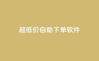 ks超低价自助下单软件,ks24小时业务自助下单网站 - dy24小时下单平台粉丝 - dy点赞24小时