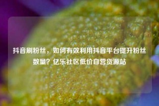 抖音刷粉丝，如何有效利用抖音平台提升粉丝数量？亿乐社区低价自营货源站
