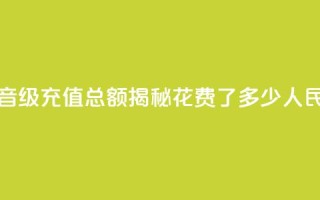 抖音58级充值总额揭秘：花费了多少人民币