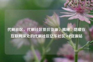 代刷社区，代刷社区低价货源，揭秘，隐藏在互联网深处的代刷社区亿乐社区SUP货源站