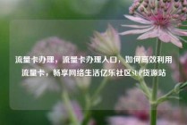 流量卡办理，流量卡办理入口，如何高效利用流量卡，畅享网络生活亿乐社区SUP货源站