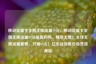 移动流量卡全国无限流量19元，移动流量卡全国无限流量19元是真的吗，畅享无忧！全球无限流量套餐，只需19元！亿乐社区低价自营货源站