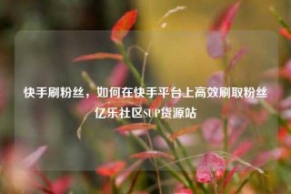 快手刷粉丝，如何在快手平台上高效刷取粉丝亿乐社区SUP货源站