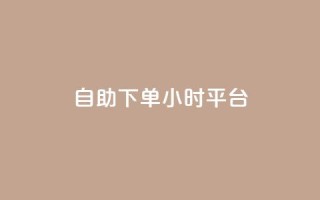 qq自助下单24小时平台,快手买东西付款方式有哪几种 - dy自助平台业务下单真人 - 抖音1-75级价目表