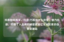抖音粉丝购买，抖音2万粉丝什么价位，借力抖音，打造个人品牌的秘密武器亿乐社区低价自营货源站