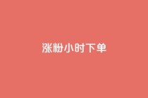 涨粉24小时下单,wb下单平台网站 - 快手业务区自助 - b站24小时低价秒单业务