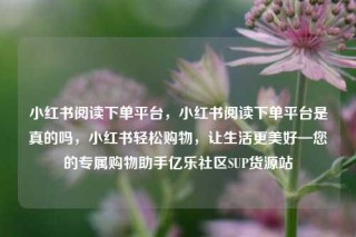 小红书阅读下单平台，小红书阅读下单平台是真的吗，小红书轻松购物，让生活更美好—您的专属购物助手亿乐社区SUP货源站