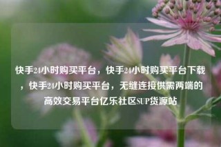 快手24小时购买平台，快手24小时购买平台下载，快手24小时购买平台，无缝连接供需两端的高效交易平台亿乐社区SUP货源站