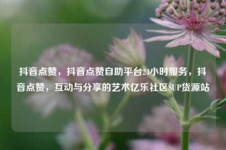 抖音点赞，抖音点赞自助平台24小时服务，抖音点赞，互动与分享的艺术亿乐社区SUP货源站