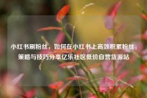 小红书刷粉丝，如何在小红书上高效积累粉丝，策略与技巧分享亿乐社区低价自营货源站