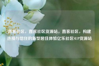直客社区，直客社区货源站，直客社区，构建连接与信任的新型居住体验亿乐社区SUP货源站