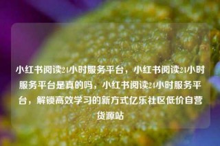 小红书阅读24小时服务平台，小红书阅读24小时服务平台是真的吗，小红书阅读24小时服务平台，解锁高效学习的新方式亿乐社区低价自营货源站