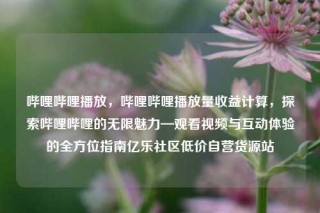 哔哩哔哩播放，哔哩哔哩播放量收益计算，探索哔哩哔哩的无限魅力—观看视频与互动体验的全方位指南亿乐社区低价自营货源站