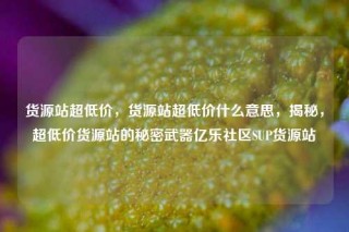 货源站超低价，货源站超低价什么意思，揭秘，超低价货源站的秘密武器亿乐社区SUP货源站