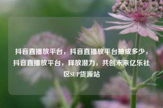 抖音直播放平台，抖音直播放平台抽成多少，抖音直播放平台，释放潜力，共创未来亿乐社区SUP货源站
