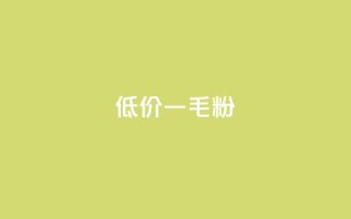 低价Ks一毛1000粉 - 超值Ks优惠 1000粉仅需一毛~