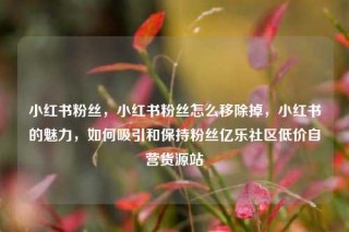 小红书粉丝，小红书粉丝怎么移除掉，小红书的魅力，如何吸引和保持粉丝亿乐社区低价自营货源站