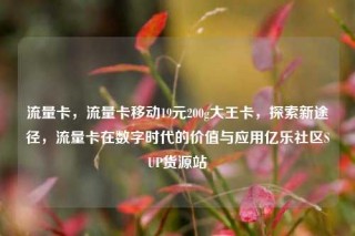 流量卡，流量卡移动19元200g大王卡，探索新途径，流量卡在数字时代的价值与应用亿乐社区SUP货源站