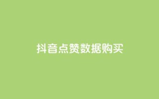 抖音点赞数据购买 - 购买抖音点赞数据的最新优惠！