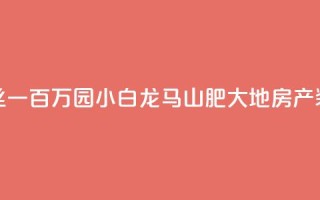 快手粉丝一百万0.01园小白龙马山肥大地房产装修网站,直播间人气协议网站 - 抖音低价业务全网最低 - 抖音点赞极速到账
