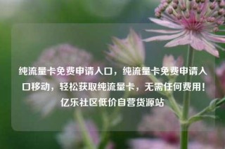 纯流量卡免费申请入口，纯流量卡免费申请入口移动，轻松获取纯流量卡，无需任何费用！亿乐社区低价自营货源站