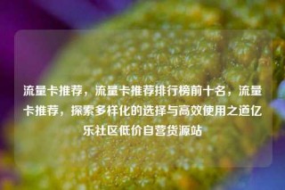 流量卡推荐，流量卡推荐排行榜前十名，流量卡推荐，探索多样化的选择与高效使用之道亿乐社区低价自营货源站