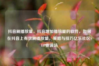 抖音刷播放量，抖音增加播放量的软件，如何在抖音上有效刷播放量，策略与技巧亿乐社区SUP货源站