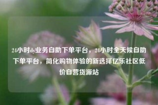 24小时dy业务自助下单平台，24小时全天候自助下单平台，简化购物体验的新选择亿乐社区低价自营货源站