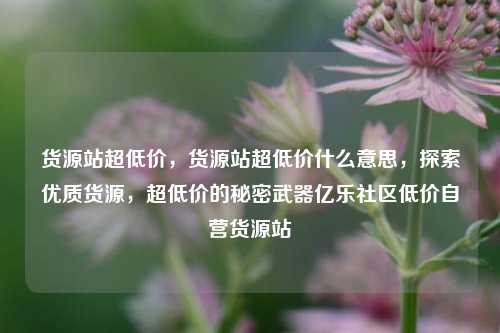货源站超低价，货源站超低价什么意思，探索优质货源	，超低价的秘密武器亿乐社区低价自营货源站  第1张
