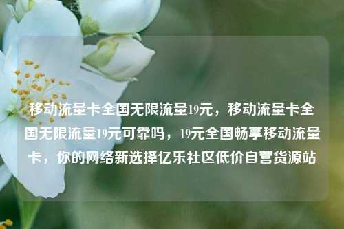 移动流量卡全国无限流量19元，移动流量卡全国无限流量19元可靠吗	，19元全国畅享移动流量卡，你的网络新选择亿乐社区低价自营货源站  第1张