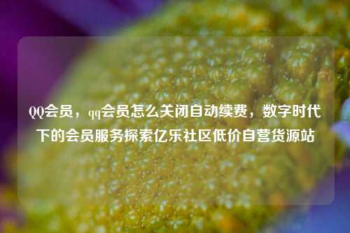 QQ会员，qq会员怎么关闭自动续费	，数字时代下的会员服务探索亿乐社区低价自营货源站  第1张