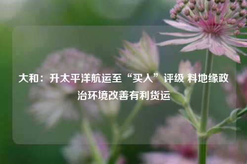 大和：升太平洋航运至“买入”评级 料地缘政治环境改善有利货运  第1张