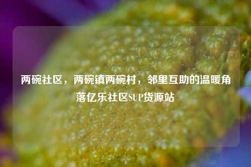 两碗社区	，两碗镇两碗村，邻里互助的温暖角落亿乐社区SUP货源站  第1张