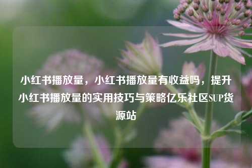 小红书播放量	，小红书播放量有收益吗，提升小红书播放量的实用技巧与策略亿乐社区SUP货源站  第1张