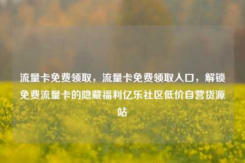 流量卡免费领取，流量卡免费领取入口，解锁免费流量卡的隐藏福利亿乐社区低价自营货源站  第1张