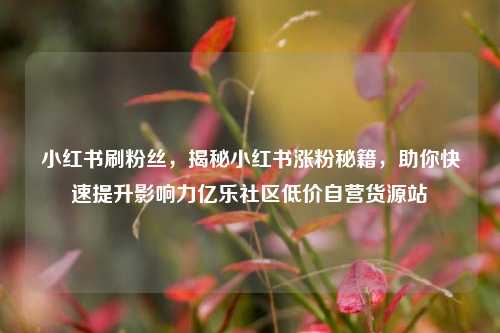 小红书刷粉丝	，揭秘小红书涨粉秘籍，助你快速提升影响力亿乐社区低价自营货源站  第1张