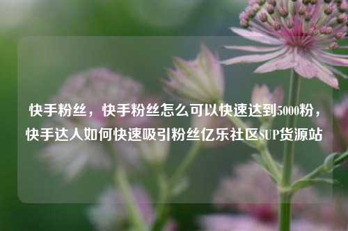 快手粉丝	，快手粉丝怎么可以快速达到5000粉，快手达人如何快速吸引粉丝亿乐社区SUP货源站  第1张