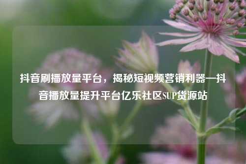 抖音刷播放量平台	，揭秘短视频营销利器—抖音播放量提升平台亿乐社区SUP货源站  第1张