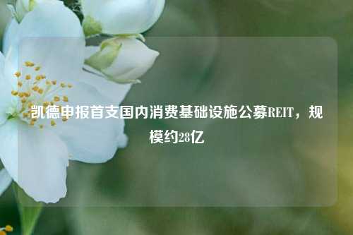 凯德申报首支国内消费基础设施公募REIT，规模约28亿  第1张