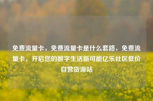 免费流量卡，免费流量卡是什么套路	，免费流量卡，开启您的数字生活新可能亿乐社区低价自营货源站  第1张