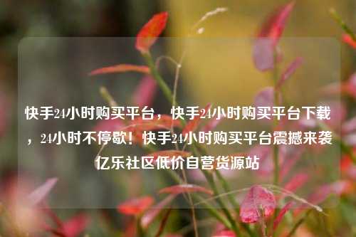 快手24小时购买平台，快手24小时购买平台下载，24小时不停歇！快手24小时购买平台震撼来袭亿乐社区低价自营货源站  第1张