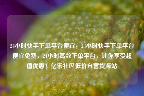 24小时快手下单平台便宜，24小时快手下单平台便宜免费，24小时高效下单平台	，让你享受超值优惠！亿乐社区低价自营货源站  第1张