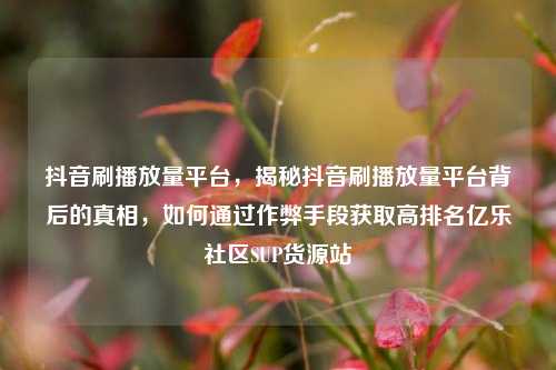 抖音刷播放量平台	，揭秘抖音刷播放量平台背后的真相，如何通过作弊手段获取高排名亿乐社区SUP货源站  第1张