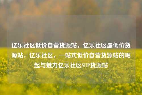 亿乐社区低价自营货源站，亿乐社区最低价货源站	，亿乐社区，一站式低价自营货源站的崛起与魅力亿乐社区SUP货源站  第1张