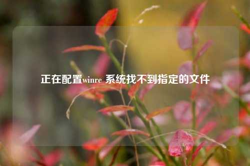 正在配置winre 系统找不到指定的文件  第1张